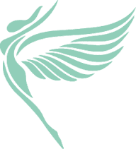 Angel Aesthetic logo