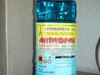 Photo 1 of 3 from Antikoroza Kneja