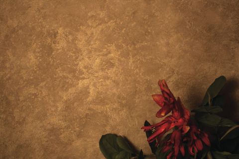 Photo 8 of 9 from Color Systems Ltd.
