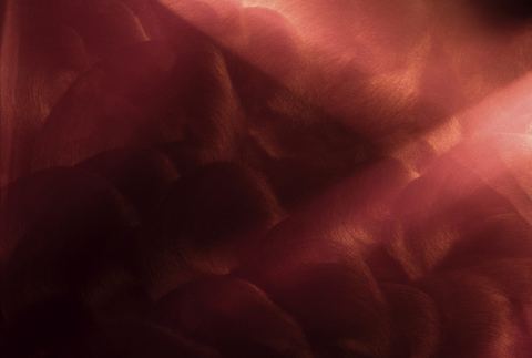 Photo 7 of 9 from Color Systems Ltd.
