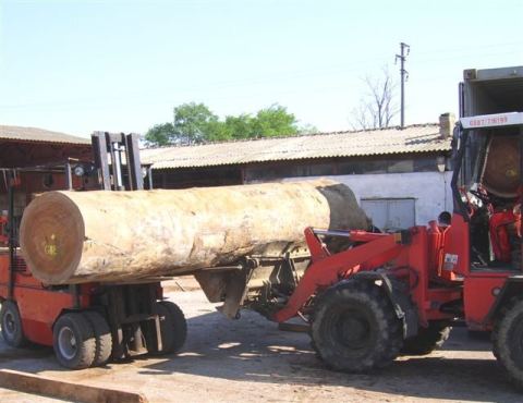 Photo 2 of 7 from Tropic Timber