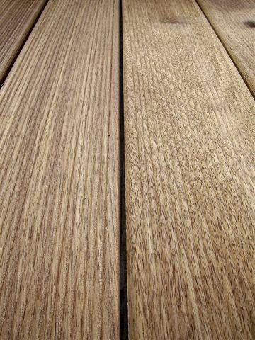 Photo 7 of 7 from Tropic Timber