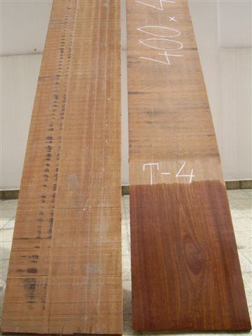 Photo 3 of 7 from Tropic Timber