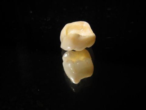 Photo 2 of 6 from Dental laboratory Dentrud EOOD