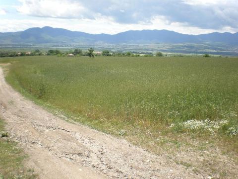 Photo 3 of 4 from Bulgarian Investments Ltd