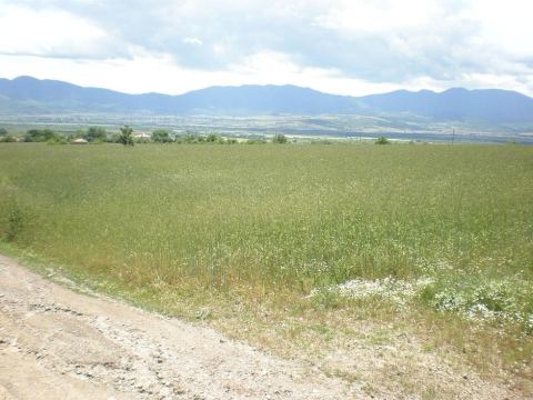 Photo 4 of 4 from Bulgarian Investments Ltd