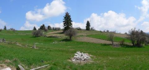 Photo 3 of 3 from Robinson Properties BG OOD