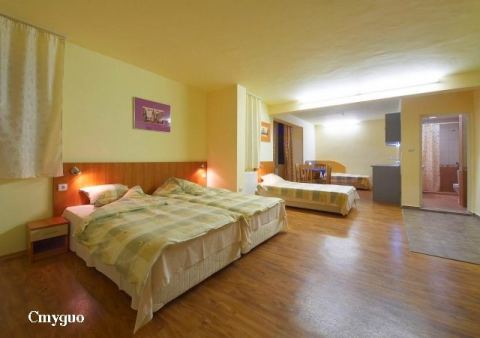 Photo 3 of 10 from Hotel Bache Todor