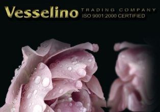 Photo 1 of 2 from Vesselino Ltd.