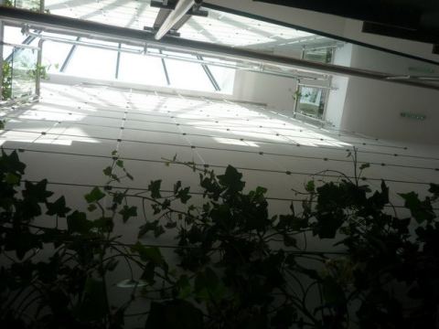 Photo 4 of 10 from Globalen Concept Ltd