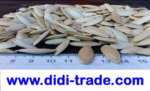 Photo 1 of 3 from Didi Trade Group