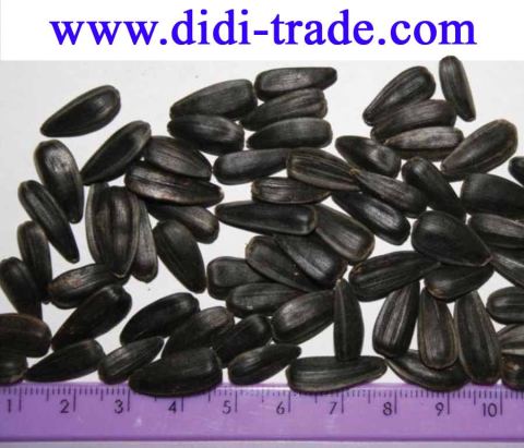 Photo 2 of 3 from Didi Trade Group