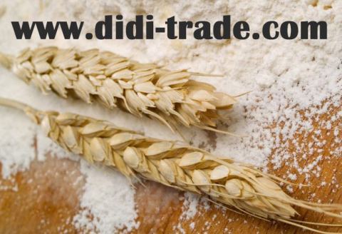 Photo 3 of 3 from Didi Trade Group
