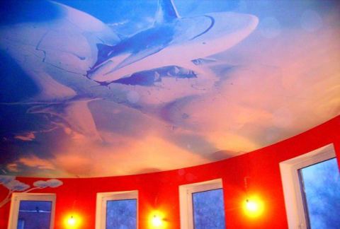 Photo 2 of 10 from Clipso Union Ltd - French stretch ceilings