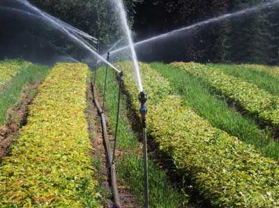 Photo 2 of 5 from ASI HYDROSYS ltd.