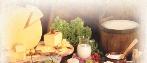 Photo 2 of 6 from Intrade Bulgaria Ltd