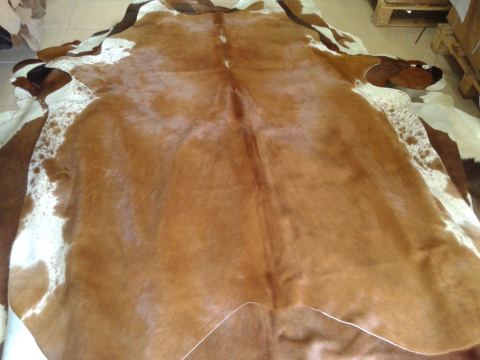 Photo 1 of 5 from Vested Leathers Ltd.