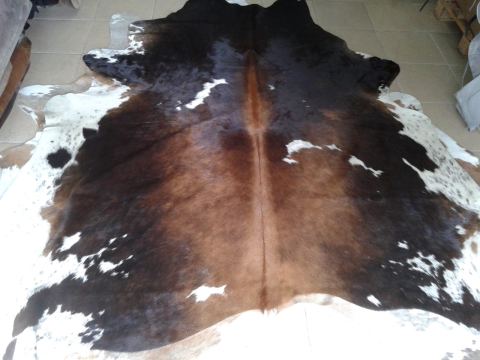 Photo 2 of 5 from Vested Leathers Ltd.