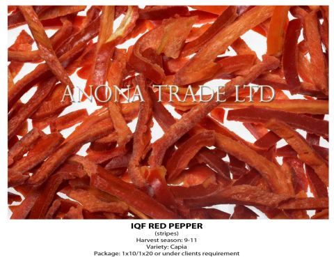 Photo 7 of 9 from Anona Trade Ltd