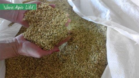 Photo 1 of 7 from Vans Agro Ltd.