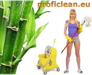 Photo 1 of 5 from Proficlean.eu