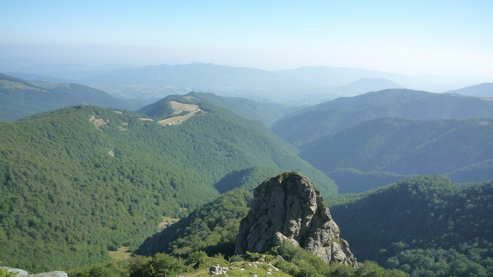 Ancient Beech Forests (Central Balkan)