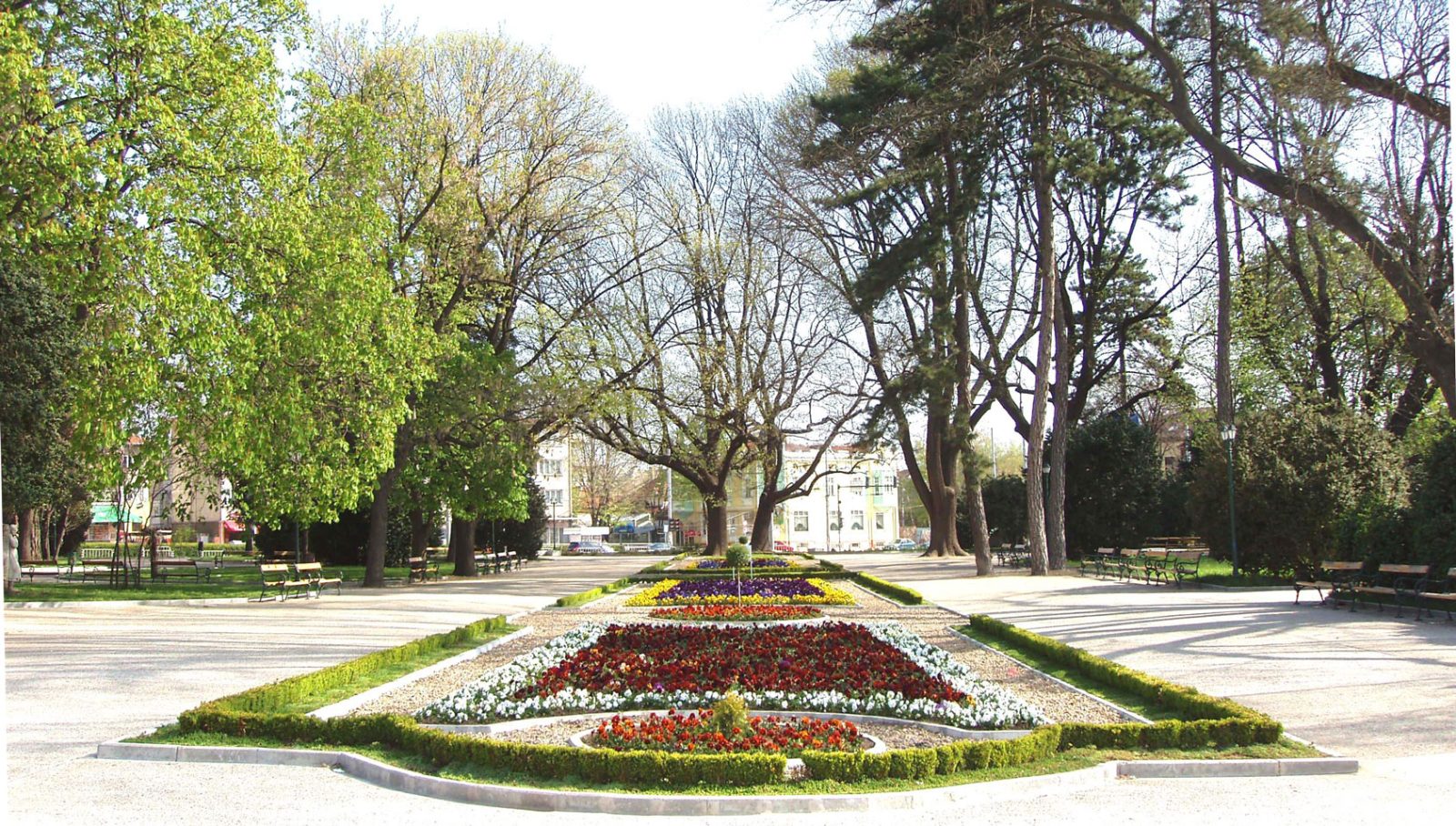 Dobrich province