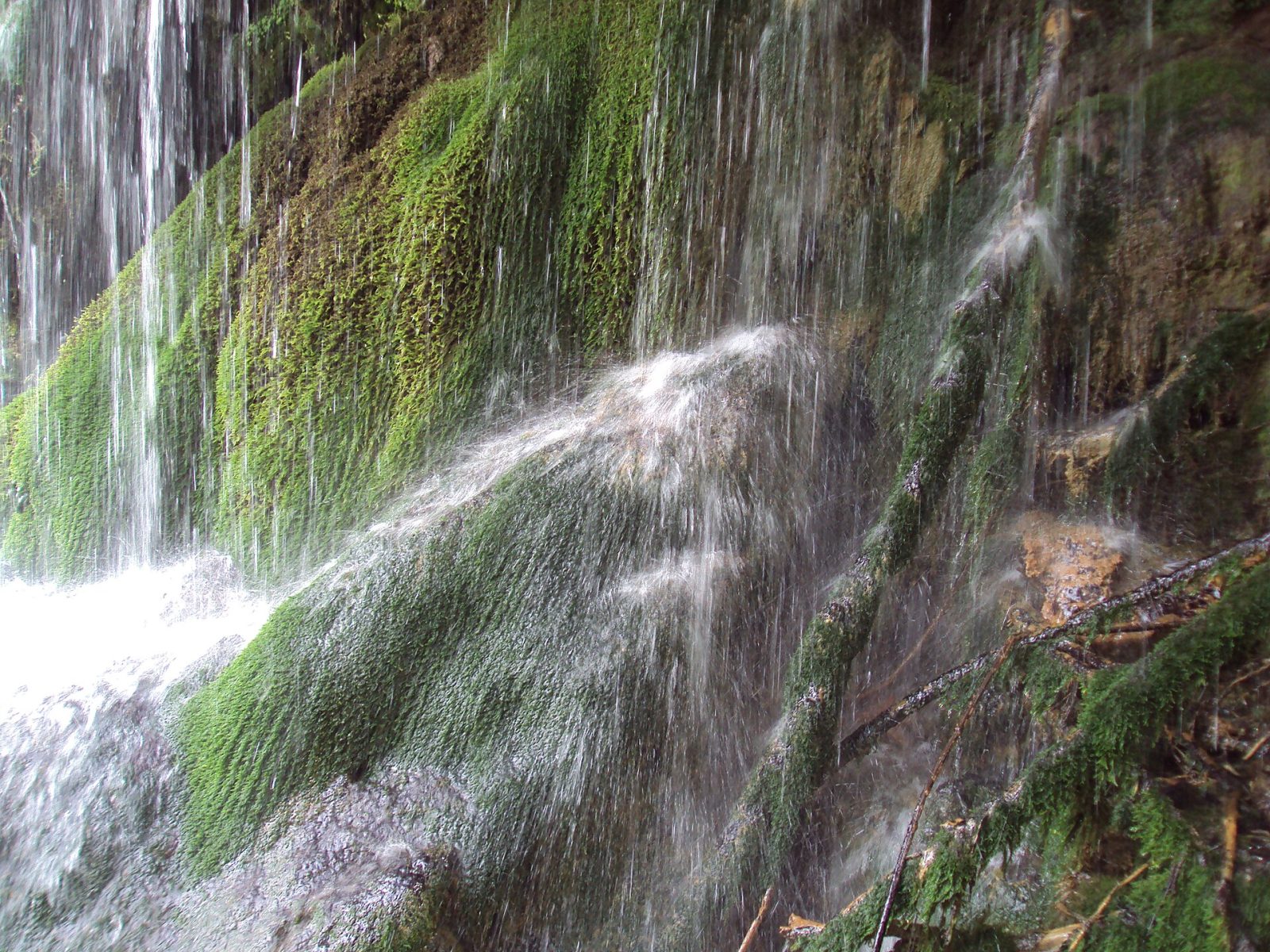 Maarata: Krushuna Waterfalls