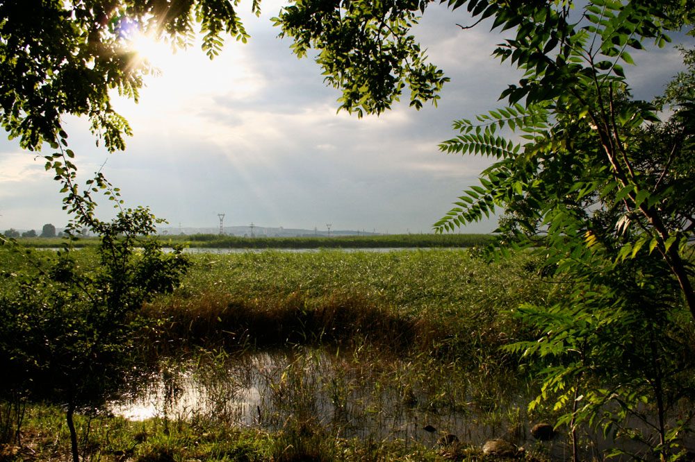 Poda Nature Conservation Centre