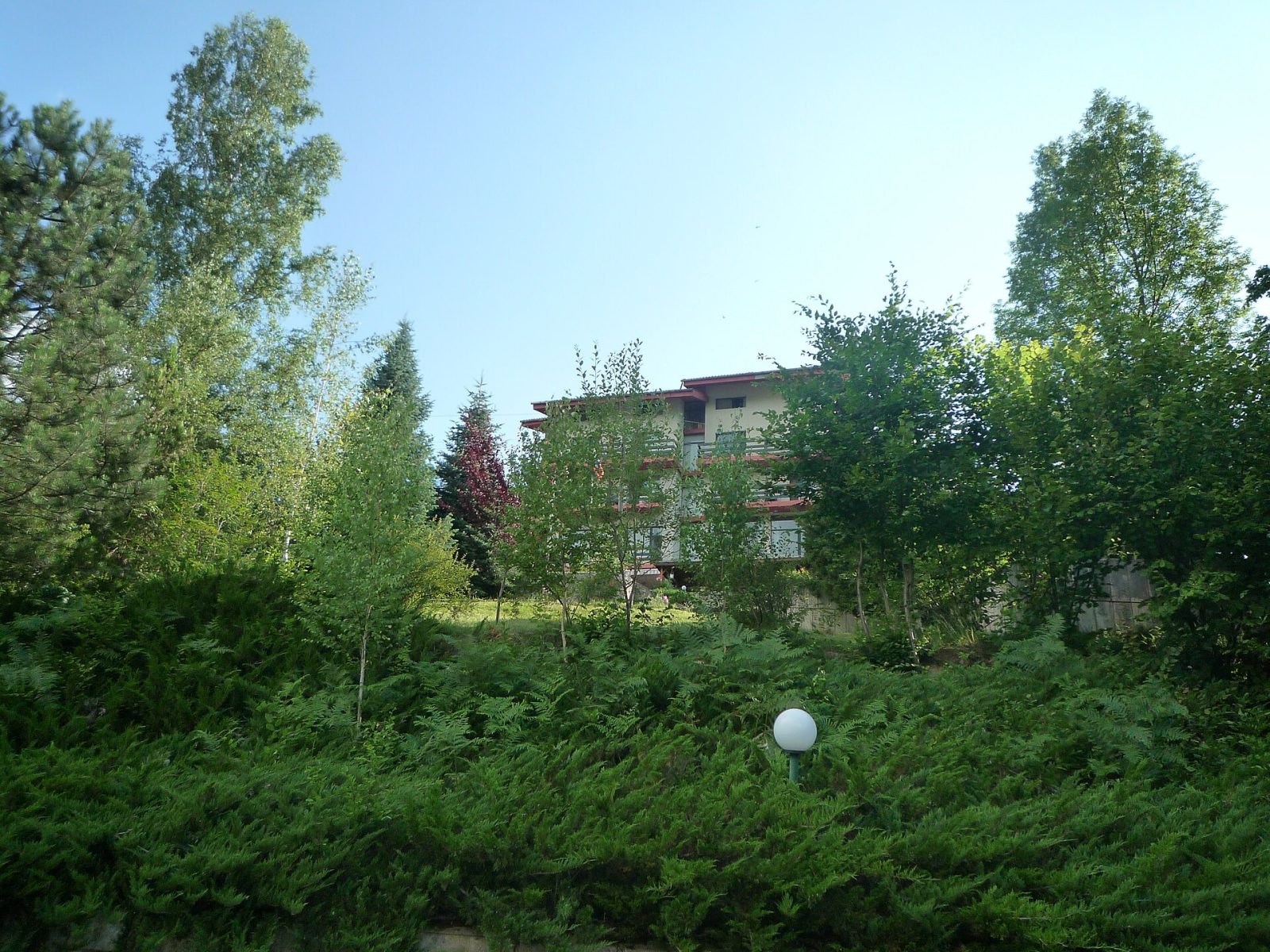 Ribaritsa