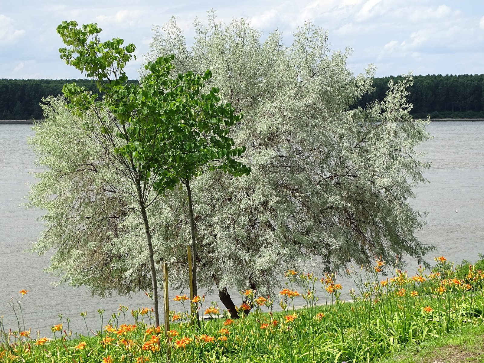 Silistra province