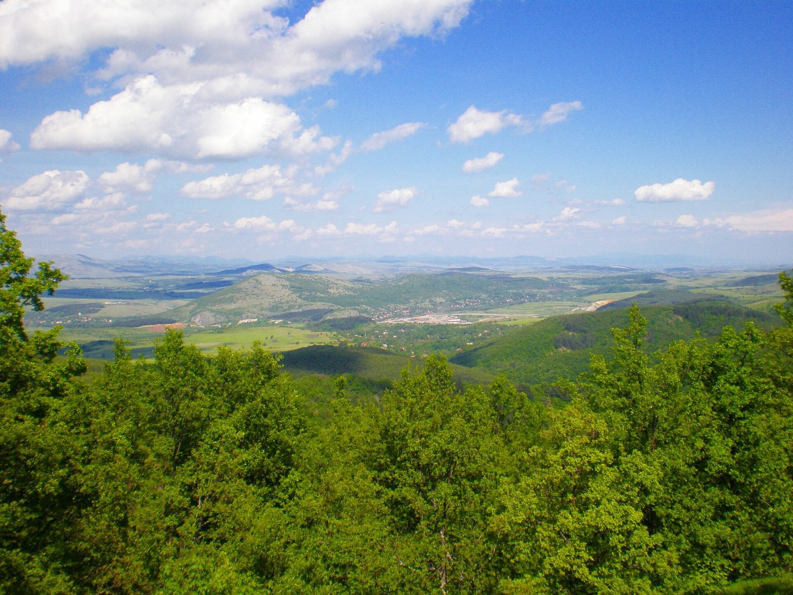Sofia Province