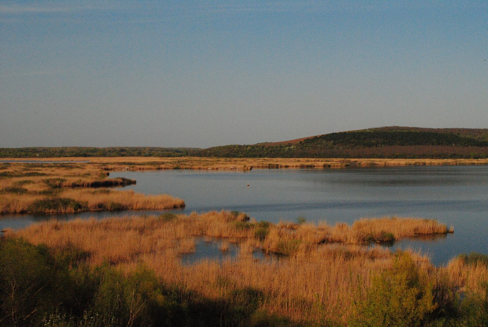 Srebarna Biosphere Reserve and Natural History Museum