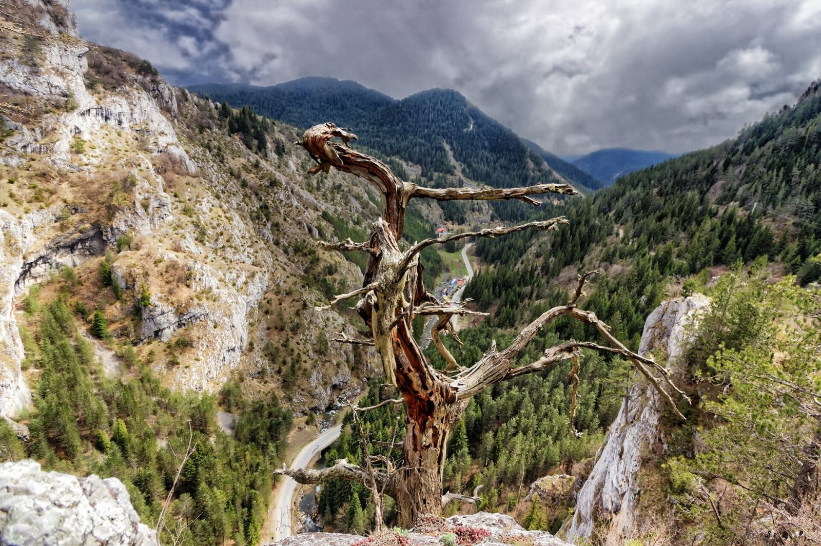 Trigrad