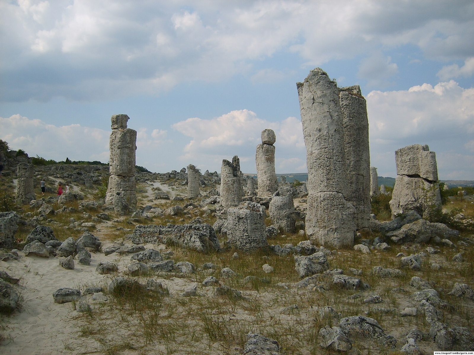 Varna province